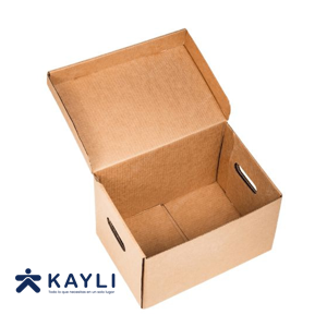 CAJA ARCHIVO BAUL CHICO 42X32X24