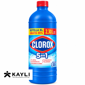 LEGIA CLOROX TRADICIONAL X860 GR foto 2