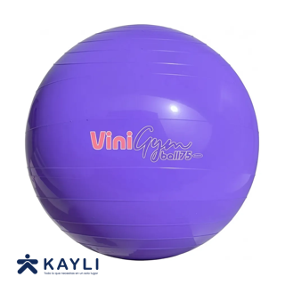 PELOTA VINIBALL VINIGYM #75 DIAM 75CM CIRC 236CM PESO 1100GR